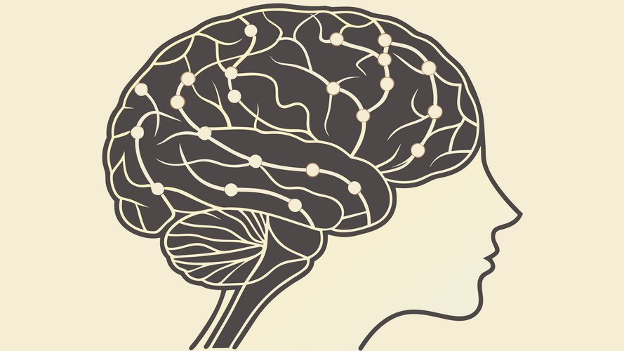 The Tiny Midbrain Circuit That Secretly Controls Every Major Decision You Make